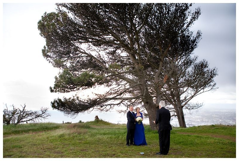 A bride and groom pose for a picture in front of a tree