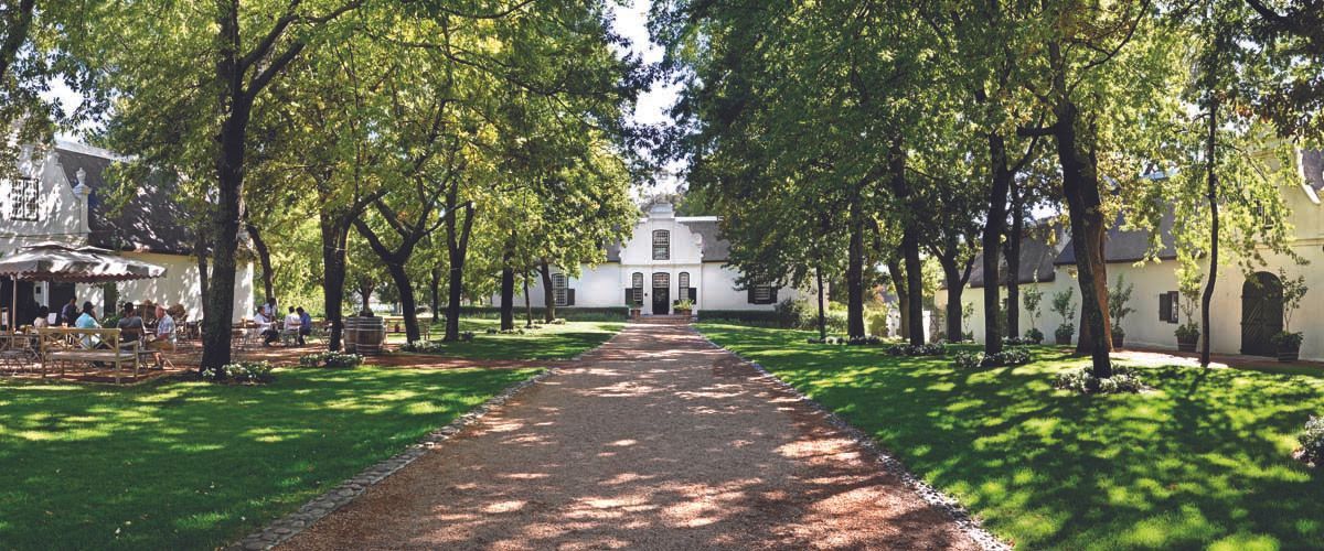 A dirt road leading to a house surrounded by trees