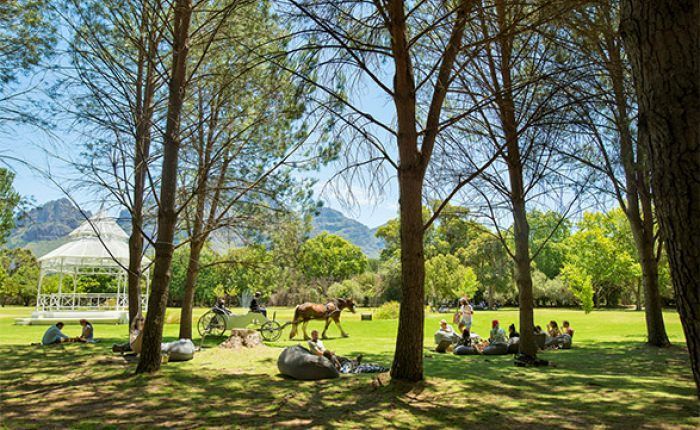 A group of people are having a picnic in a park with a horse drawn carriage in the background.