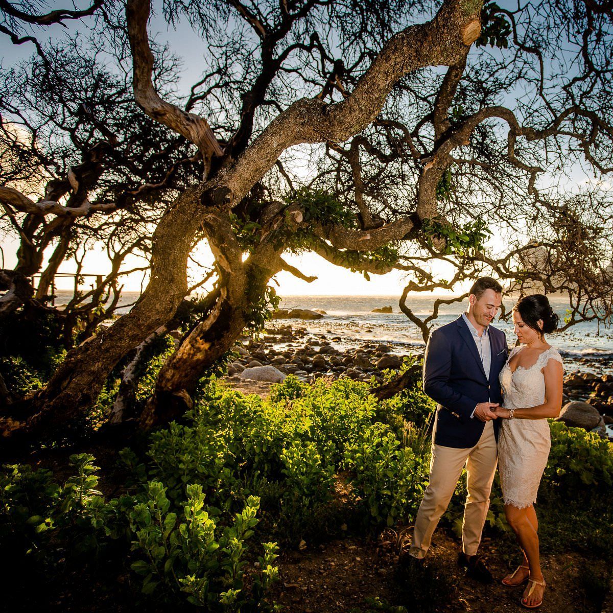A bride and groom are standing under a tree near the ocean