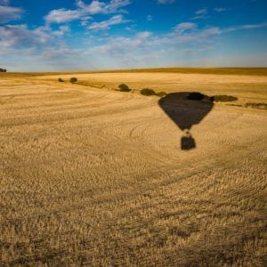 A hot air balloon is casting a shadow on a field of wheat.