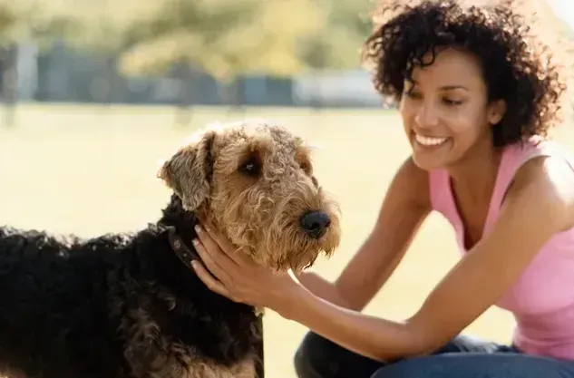 Contact Us for Pet Cremation Oakland, CA