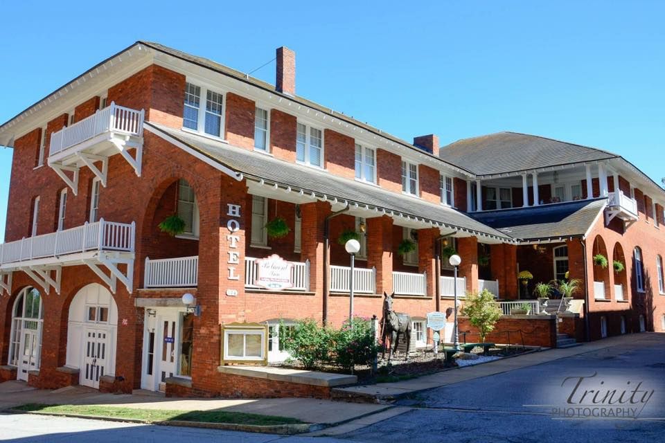 A black and white cow is standing in a field looking at the camera.