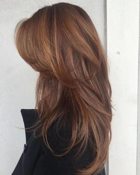 Brown Layered Hair With Caramel Highlights, Falling Over a Dark Jacket — Artistry Of Hair in Redlynch, QLD