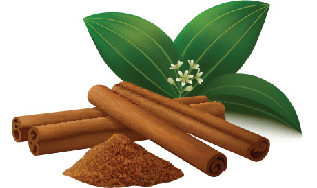 cinnamon for dogs