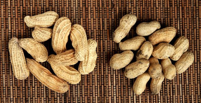are raw peanuts safe for dogs
