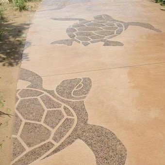 turtle concrete stencils on concrete walkway