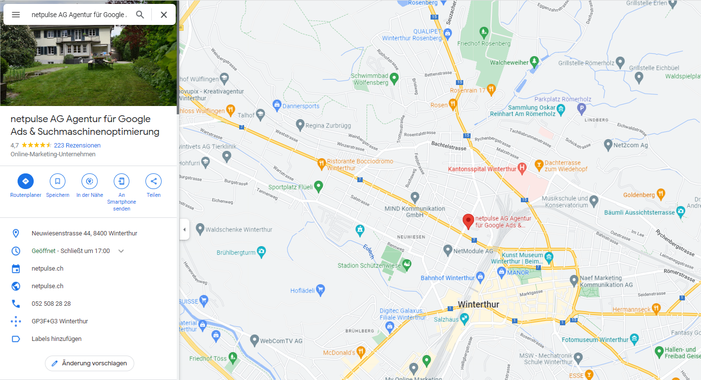 Ein Screenshot von der netpulse AG und ihrem Standort auf Google Maps