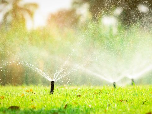 Sprinklers watering a bright green lawn in soft sunlight