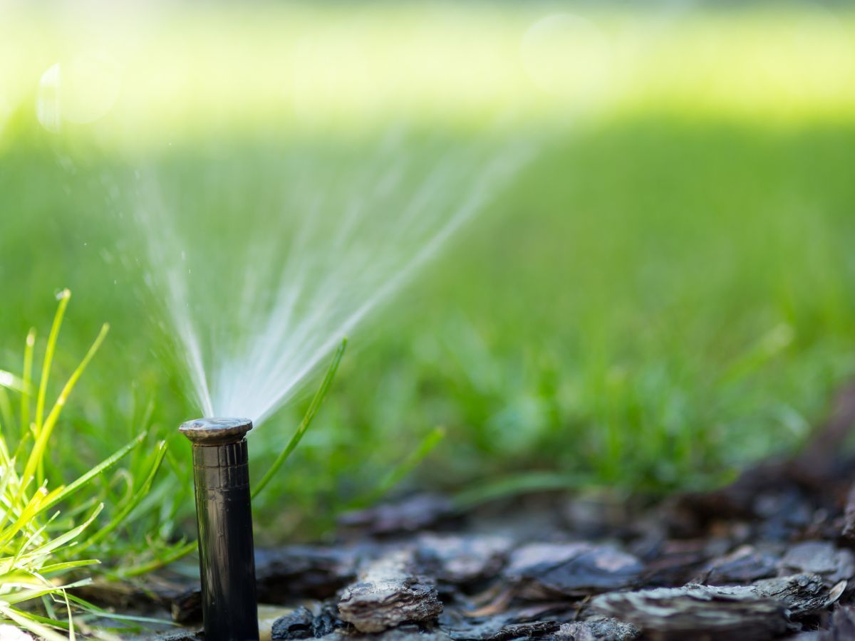 Garden sprinkler watering green grass and soil close-up