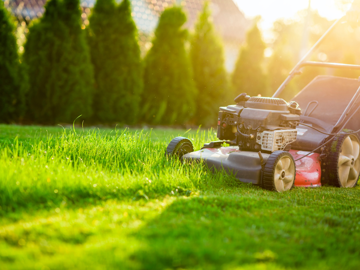 Lawn mower cutting bright green grass in a sunlit backyard with trees in the background