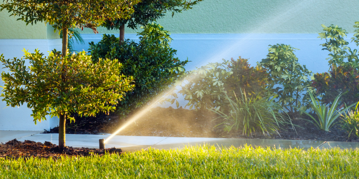 Sunlit garden with a sprinkler spraying water across trees and shrubs by a pond