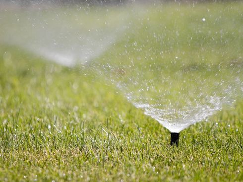Sprinkler watering a green lawn with water spraying diagonally across the grass