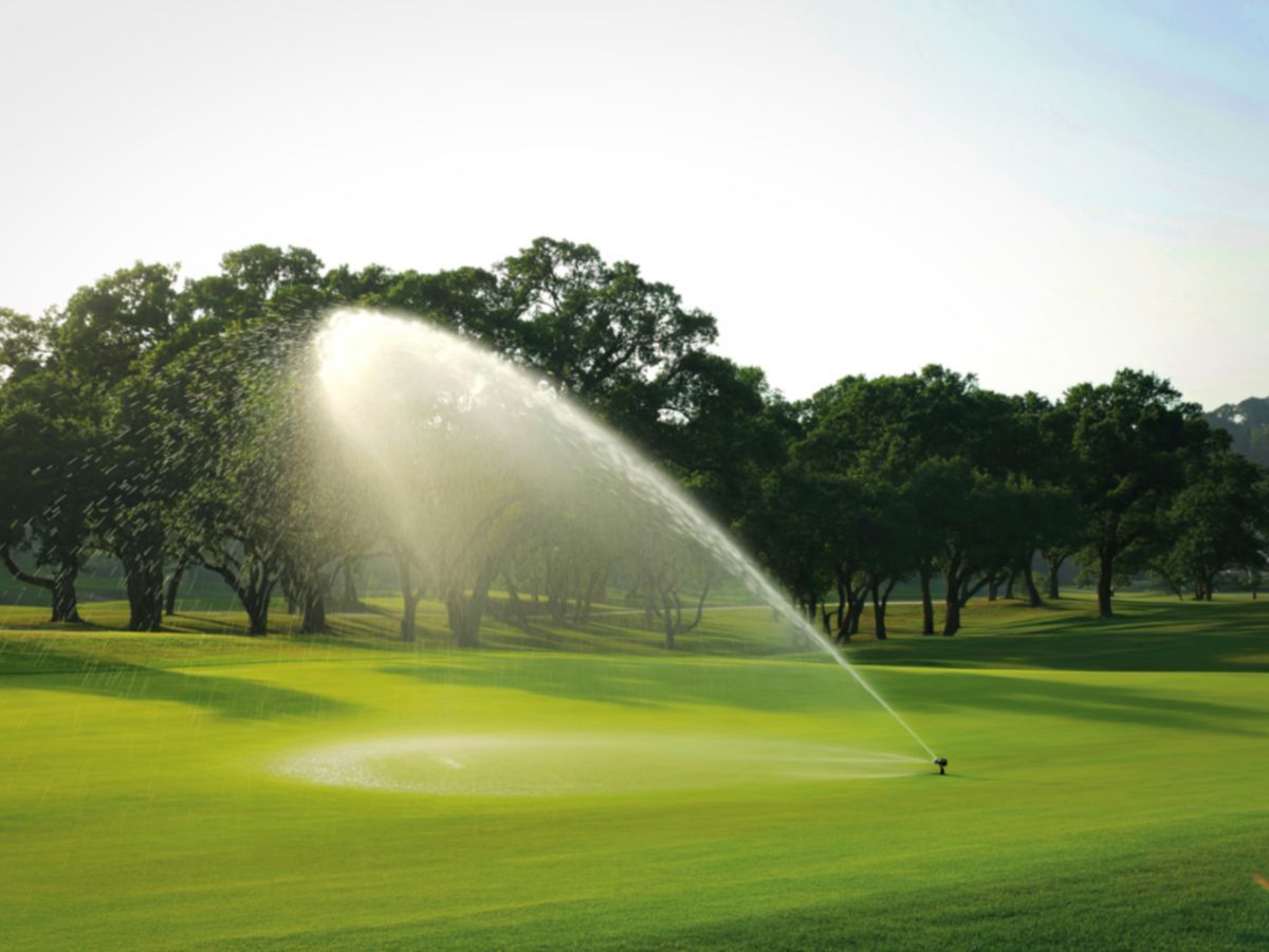 Golf course sprinkler watering bright green grass at sunrise