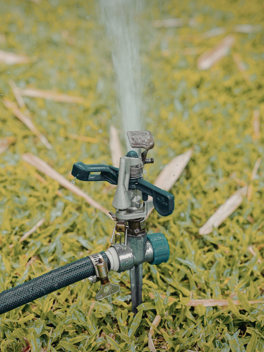 Sprinkler spraying water from a hose on green grass