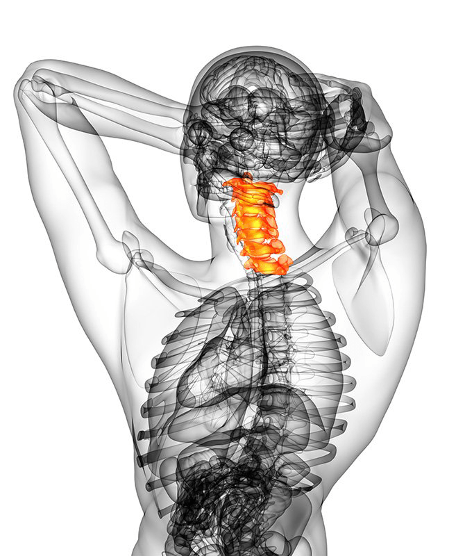 Dr. Dana Kind — Lawrenceville, GA  — Grayson Chiropractic & Rehab