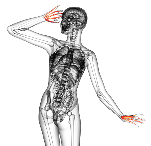 Woman Spine — Lawrenceville, GA  — Grayson Chiropractic & Rehab