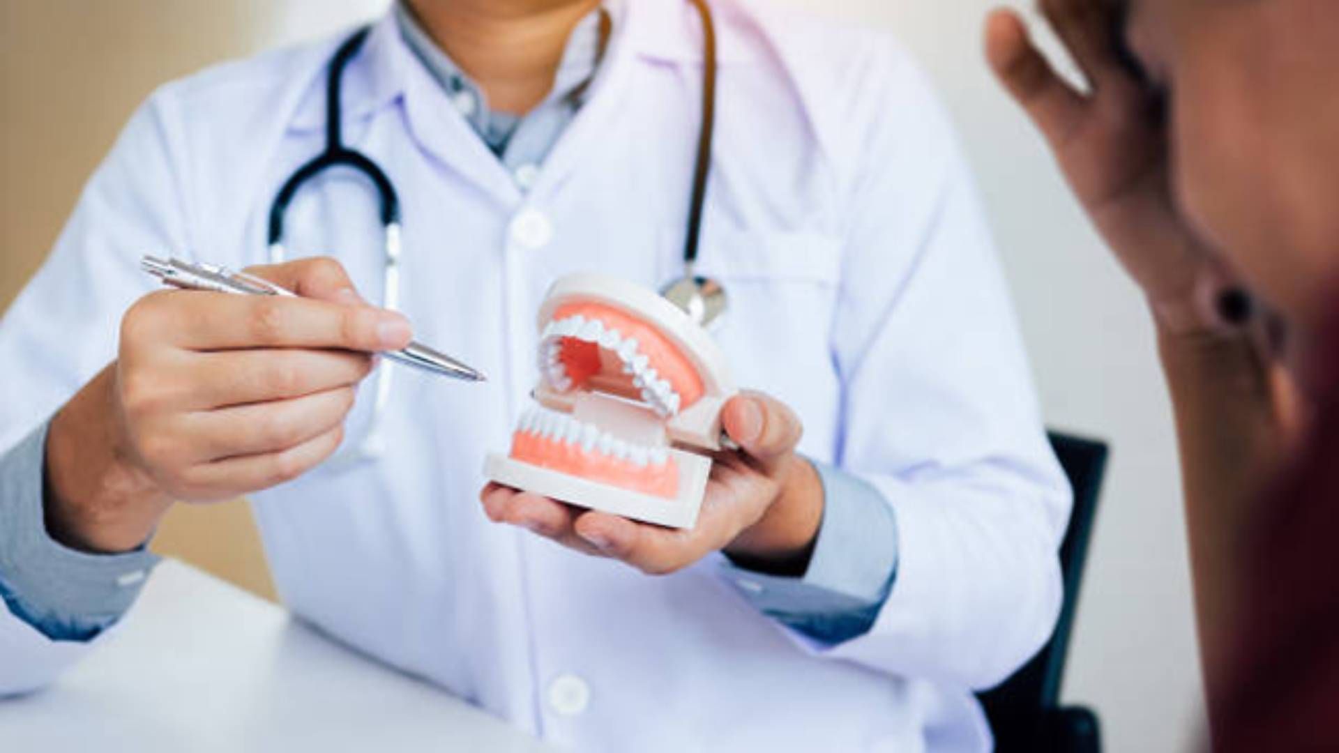 A person in a white coat with a stethoscope holds a dental model and points to it while consulting with a patient.