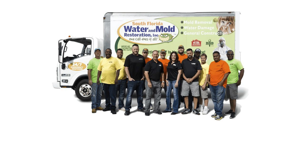 Mold Remediation Companies