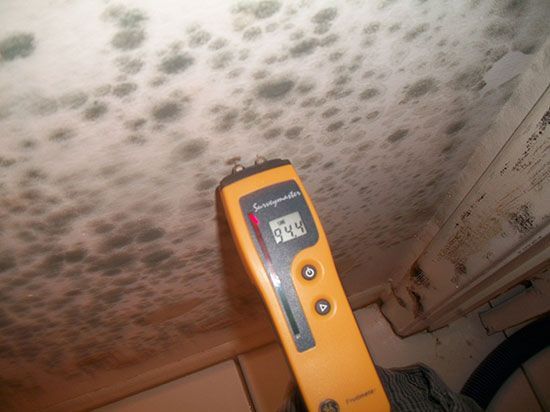 Water Heater Leaks in Condominium