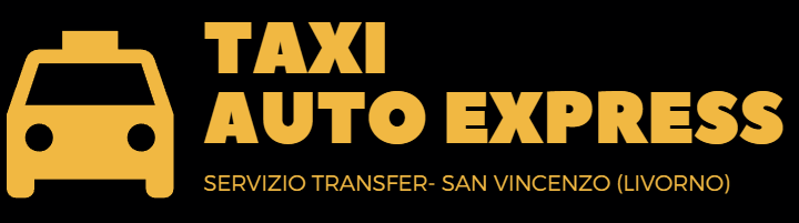 taxi auto express logo