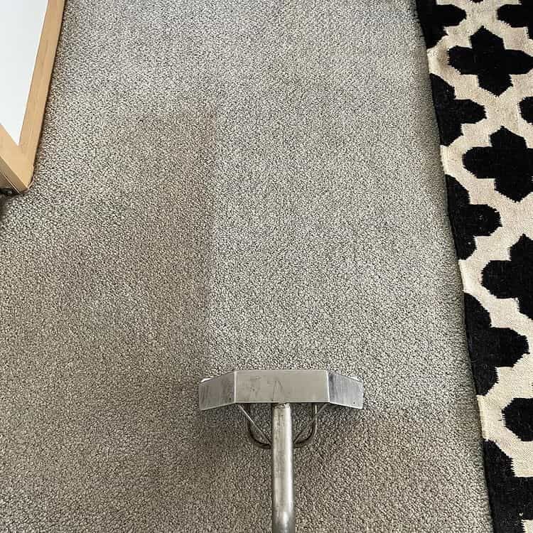 Carpet Cleaning Machine Cleaning a Grey Carpet — Carpet Cleaners in Tatura, VIC