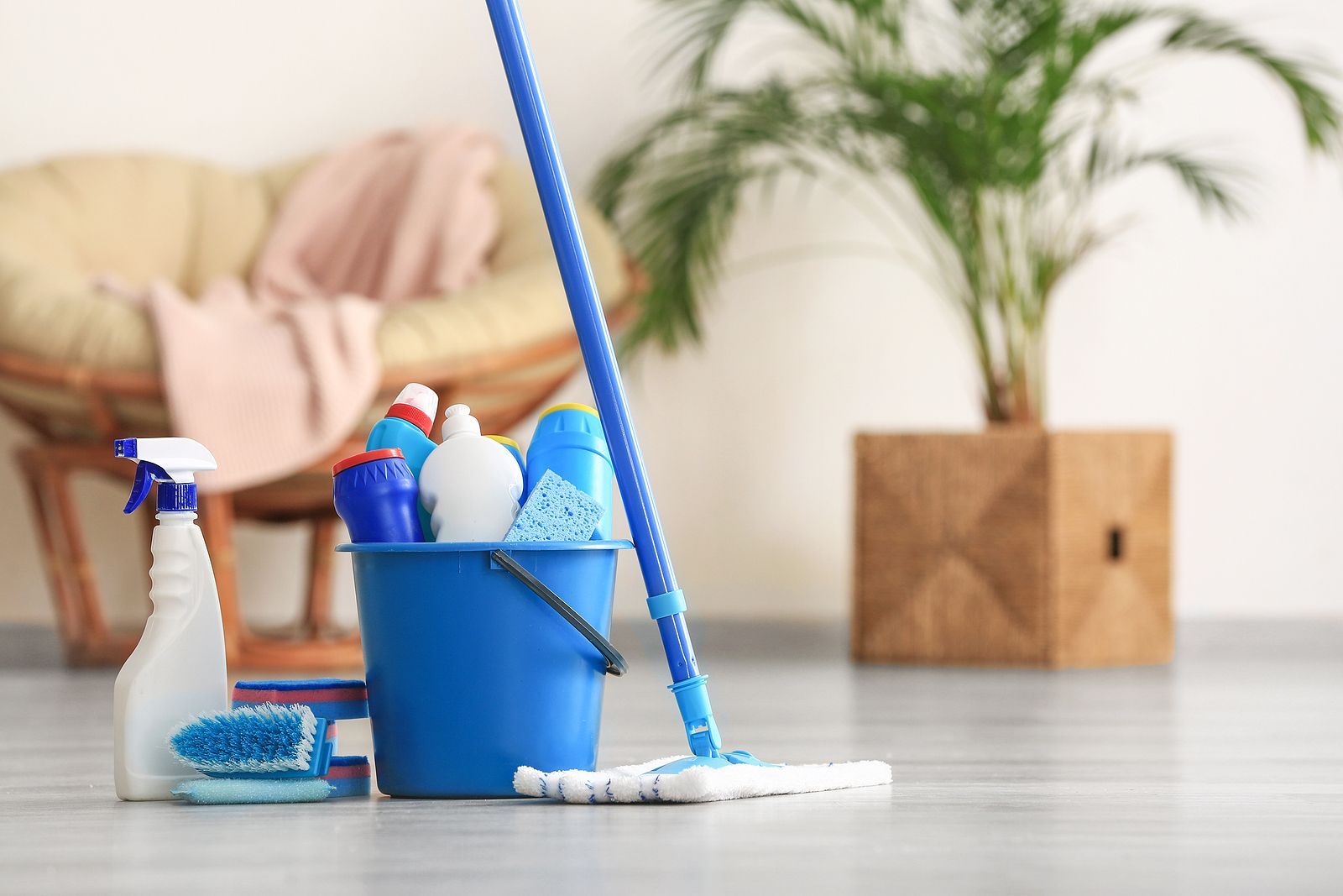 deep cleaning services in auburn al