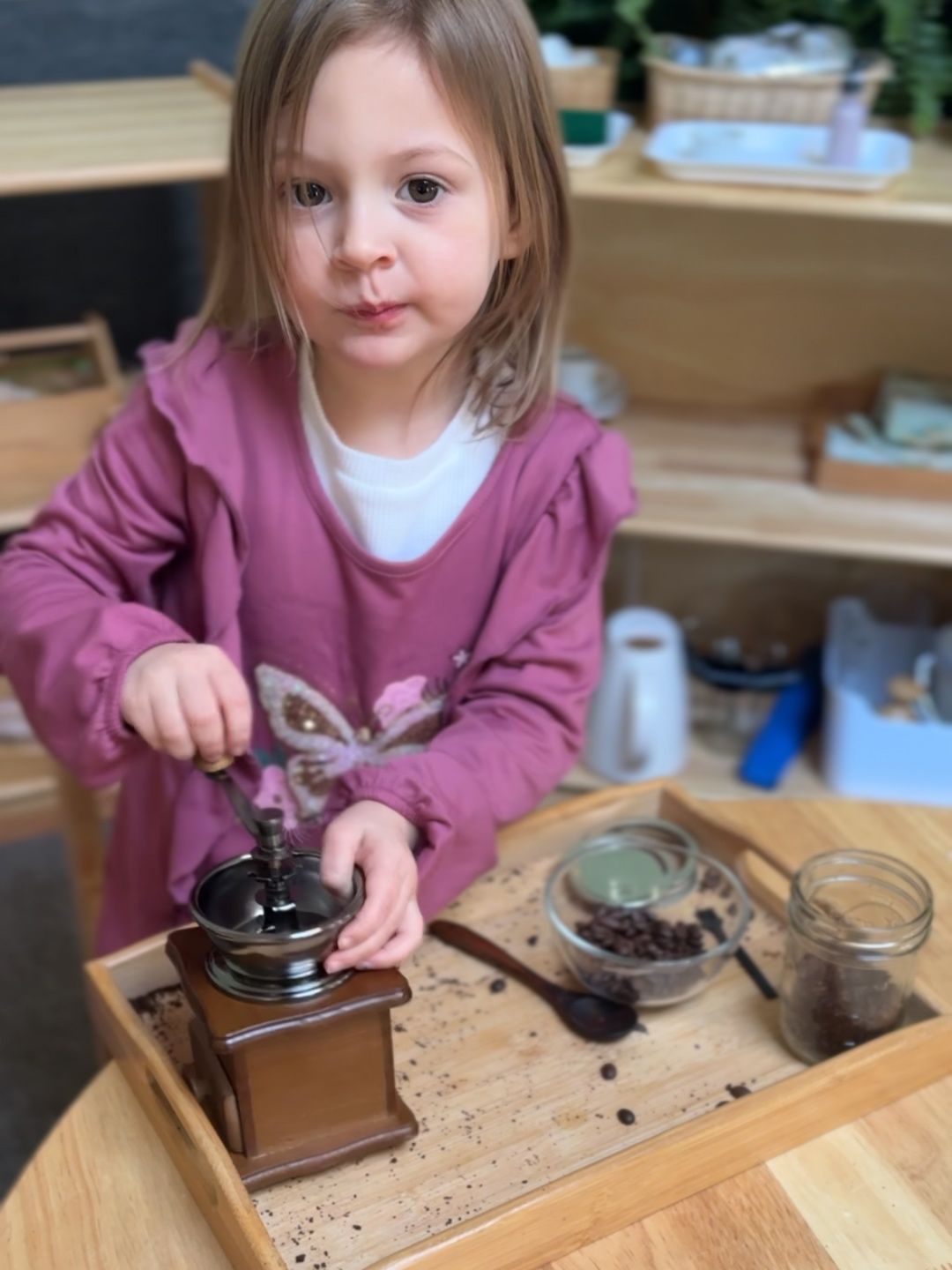 A primary Montessori child uses a hand-crank mill to grind coffee beans, a practical life activity for coordination.