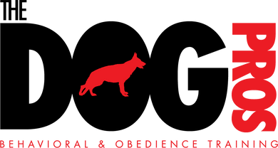 The Dog Pros Behavioral and Obedience Training in Mooresville NC
