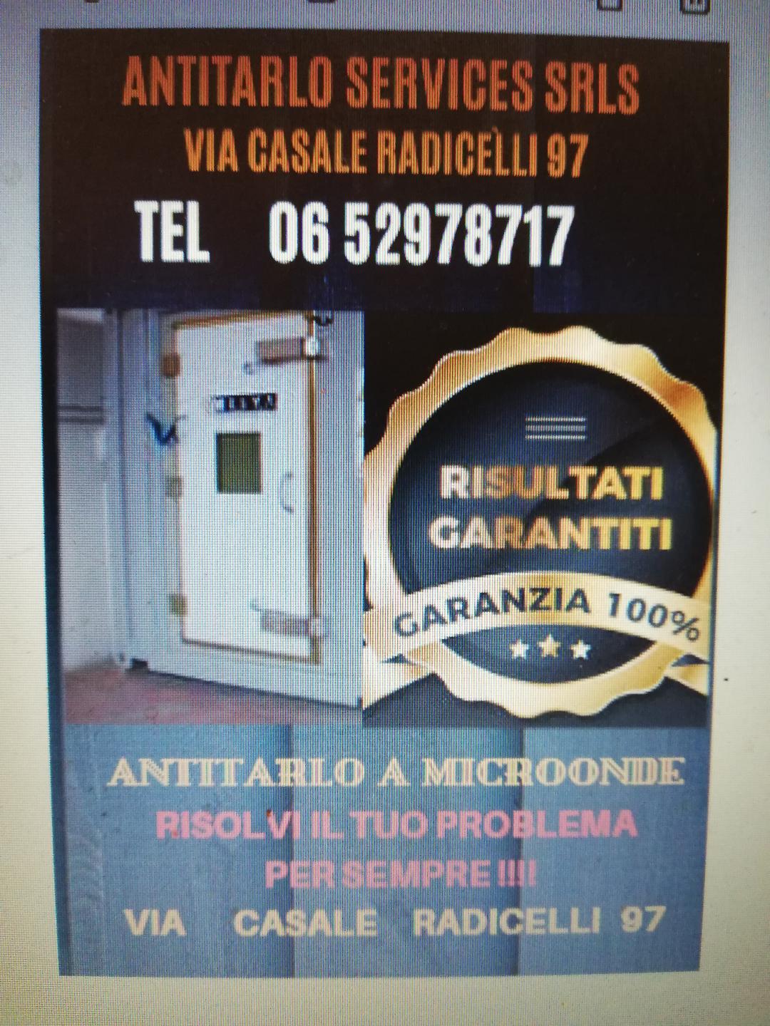 disinfestazione del legno