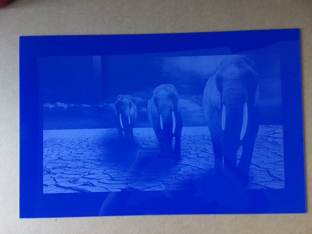 etched image of elephants