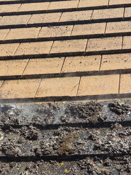 Rooftop cleaning in progress: dirty tiles being sprayed clean, revealing lighter tiles.