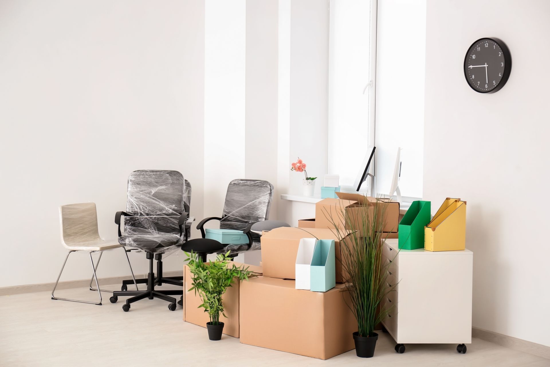 Office space with moving boxes, chairs, plants, and a clock on the wall.
