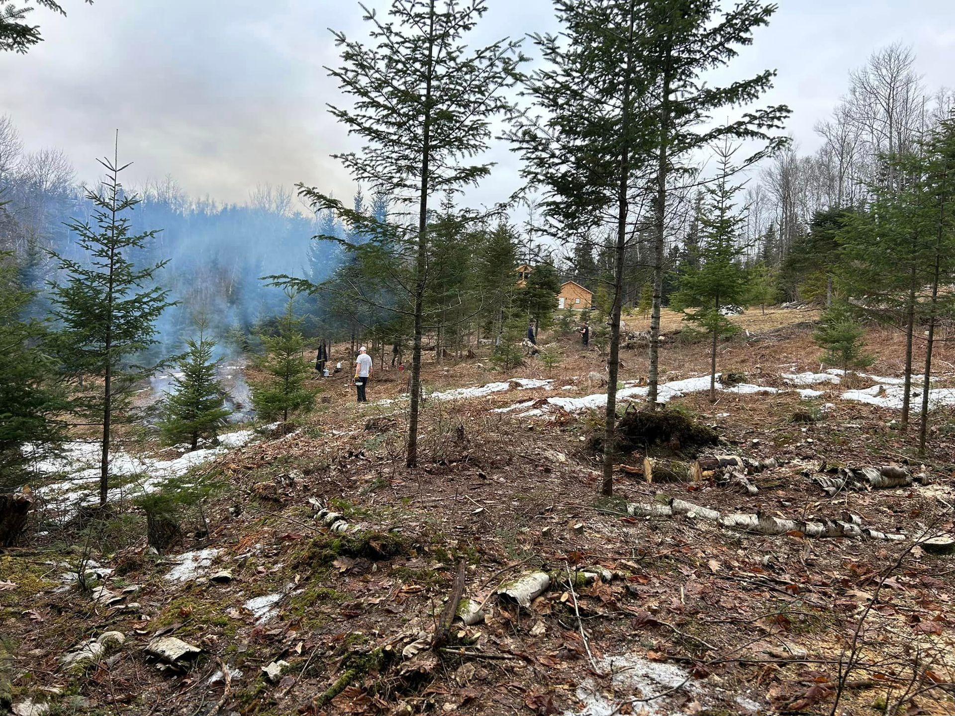 A man is standing in the middle of a forest with smoke coming out of the trees.