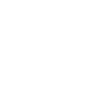 falcon stamping logo