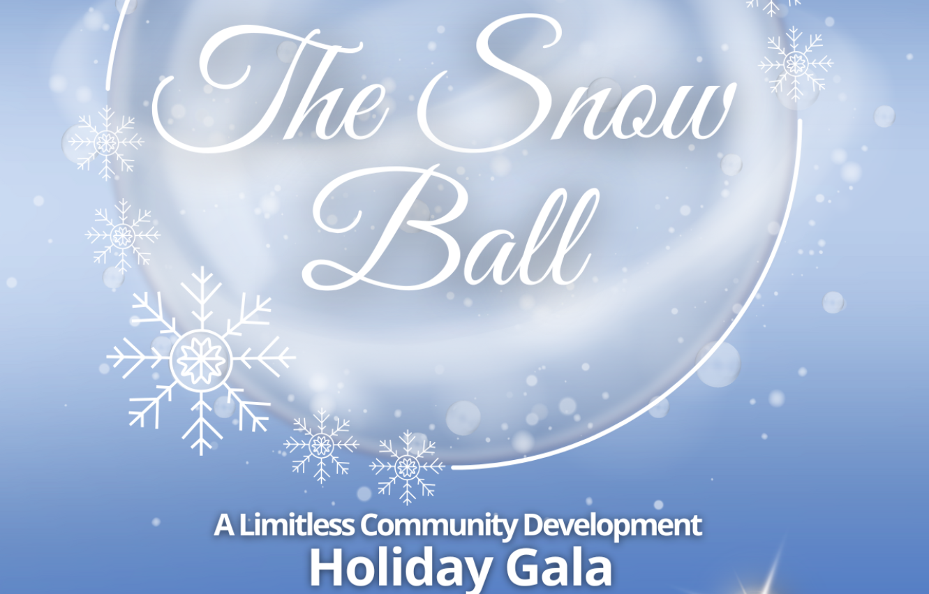 The Snow Ball - A designed snowy background featuring snowflakes and a silver underlay.