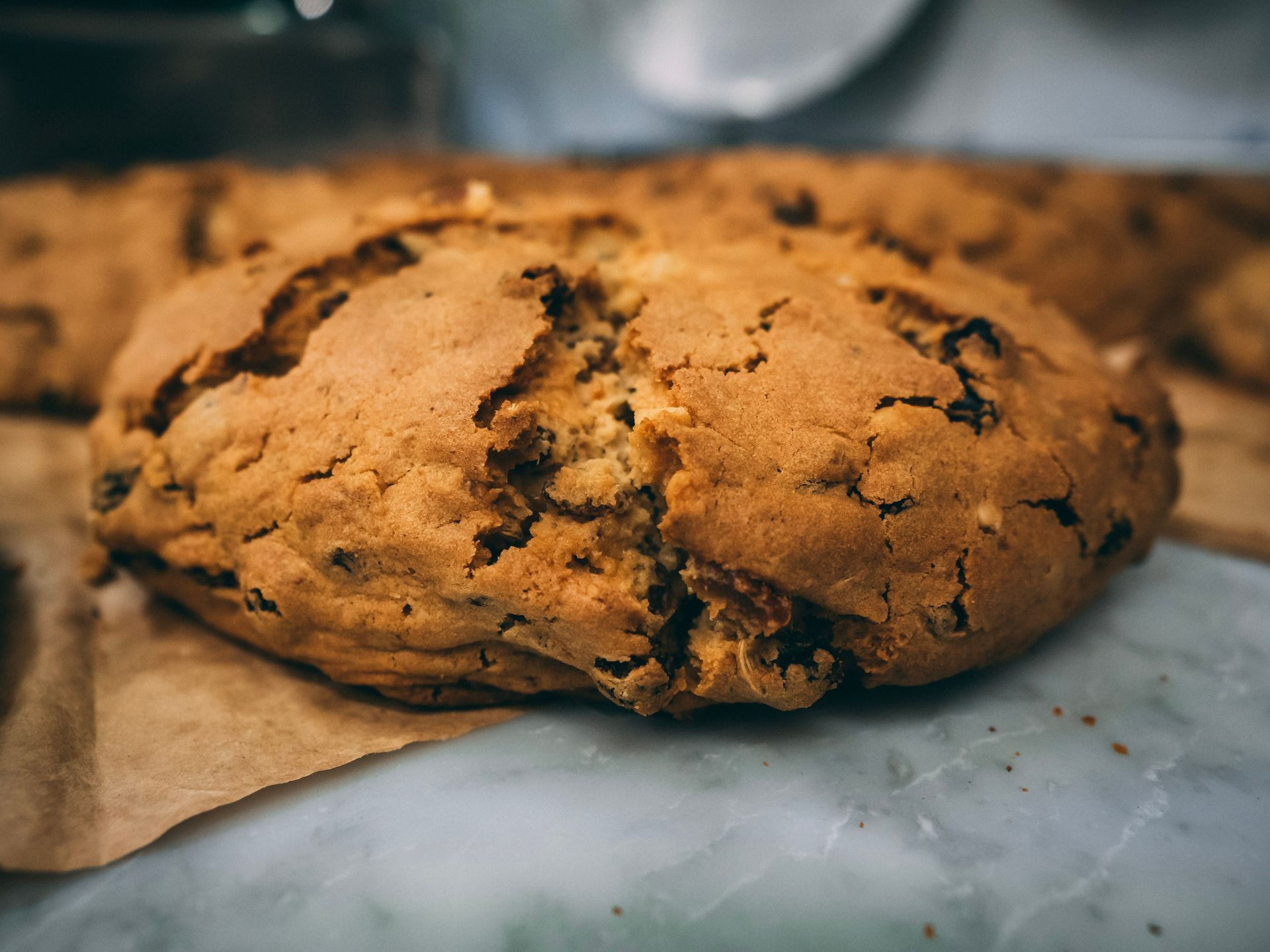 Panettone genovese basso
