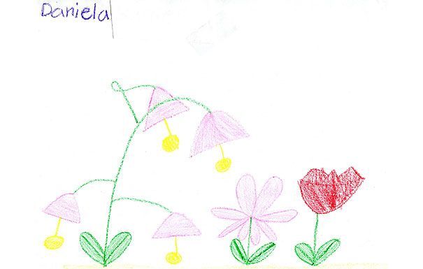 Child's drawing of flowers: pink bells, a pink star-shaped flower, and a red tulip, all with green leaves.