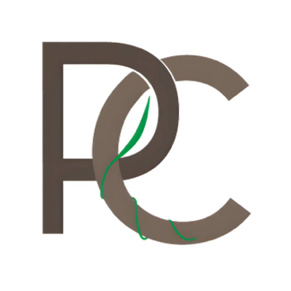 penkin consulting logo