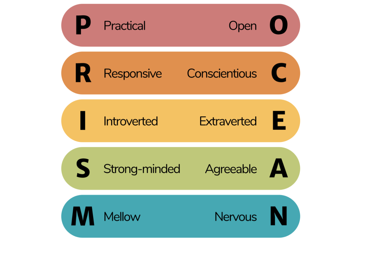 Practical Responsive Introverted Strong minded Mellow Open Conscientious Extraverted Agreeable Nervous Penkin Consulting Anagram