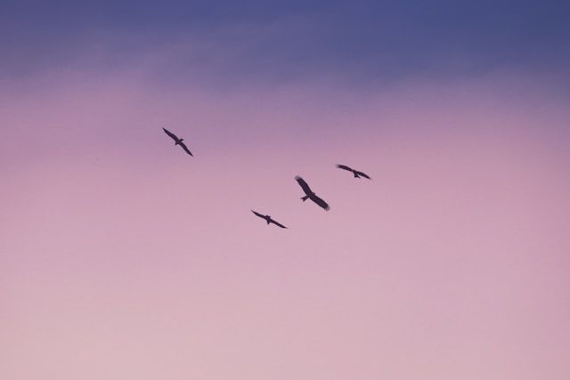 cremation services Mobile, AL