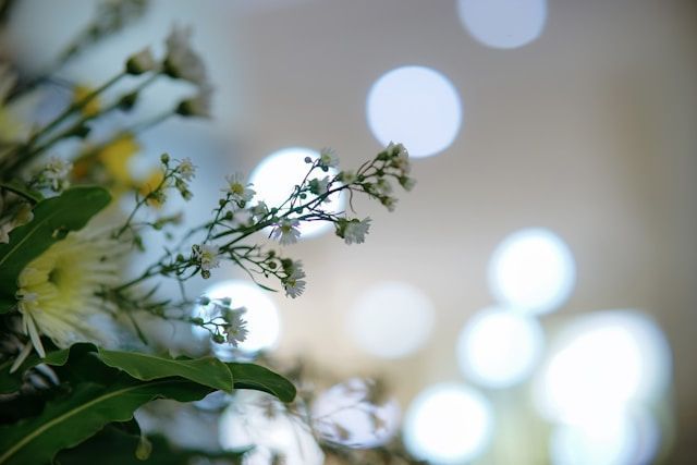 cremation services Saraland, AL