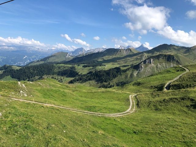 funeral homes McIntosh, AL