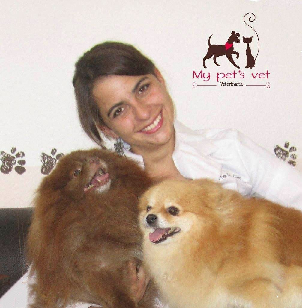 Criaderos de Goldendoodles en mexico