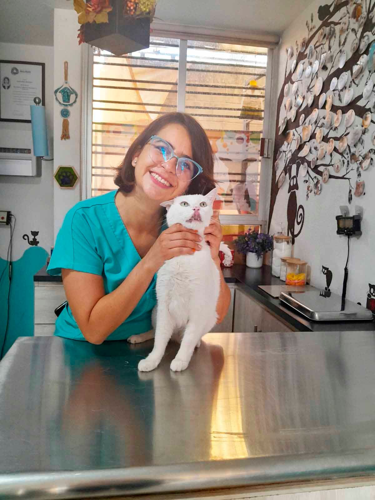veterinaria para gatos en leon