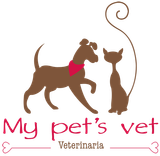 veterinaria leon