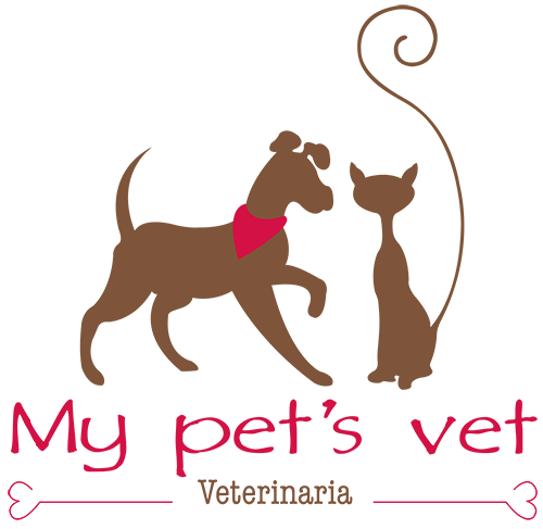 veterinaria leon