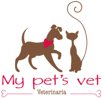 veterinaria en leon