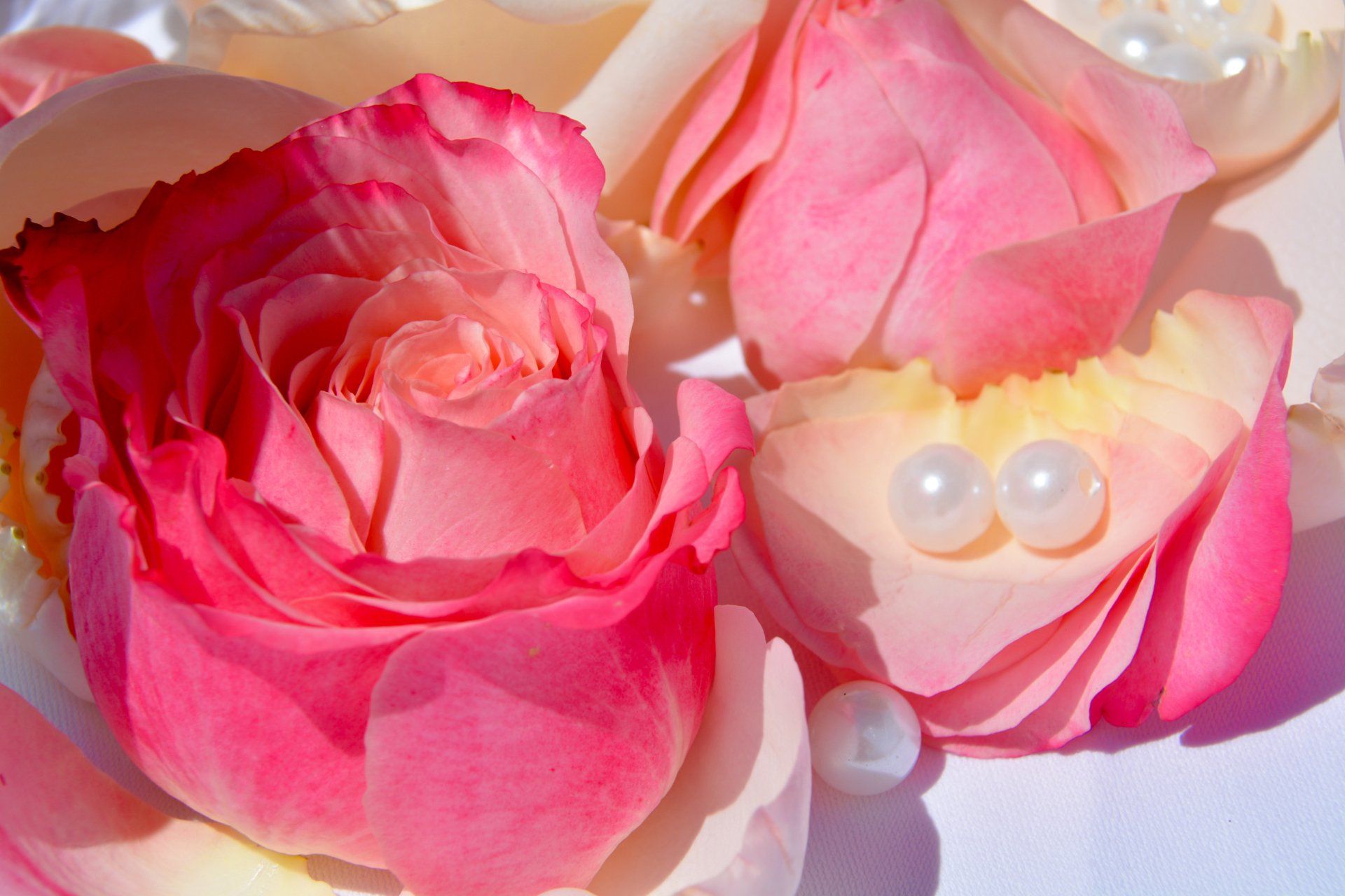 florart-lugano4