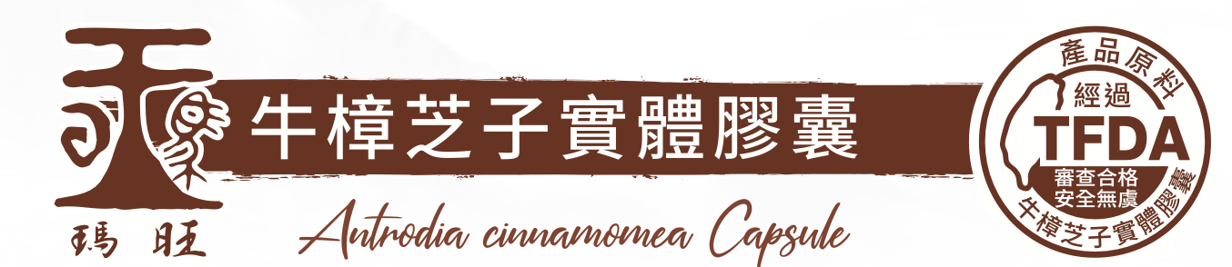 牛樟芝實體膠囊